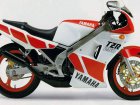 Yamaha TZR 250